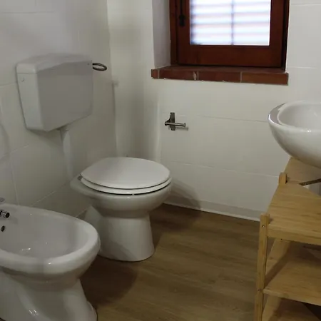 2000 Holidays * טראסיני